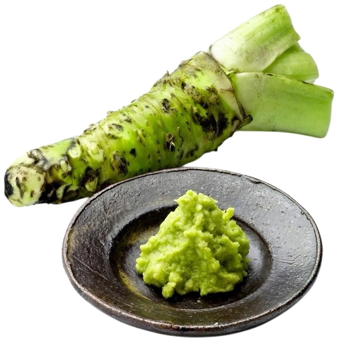 Pasta Wasabi Do Sushi Ostry Zielony Japoński Chrzan w Tubce 43g S&B